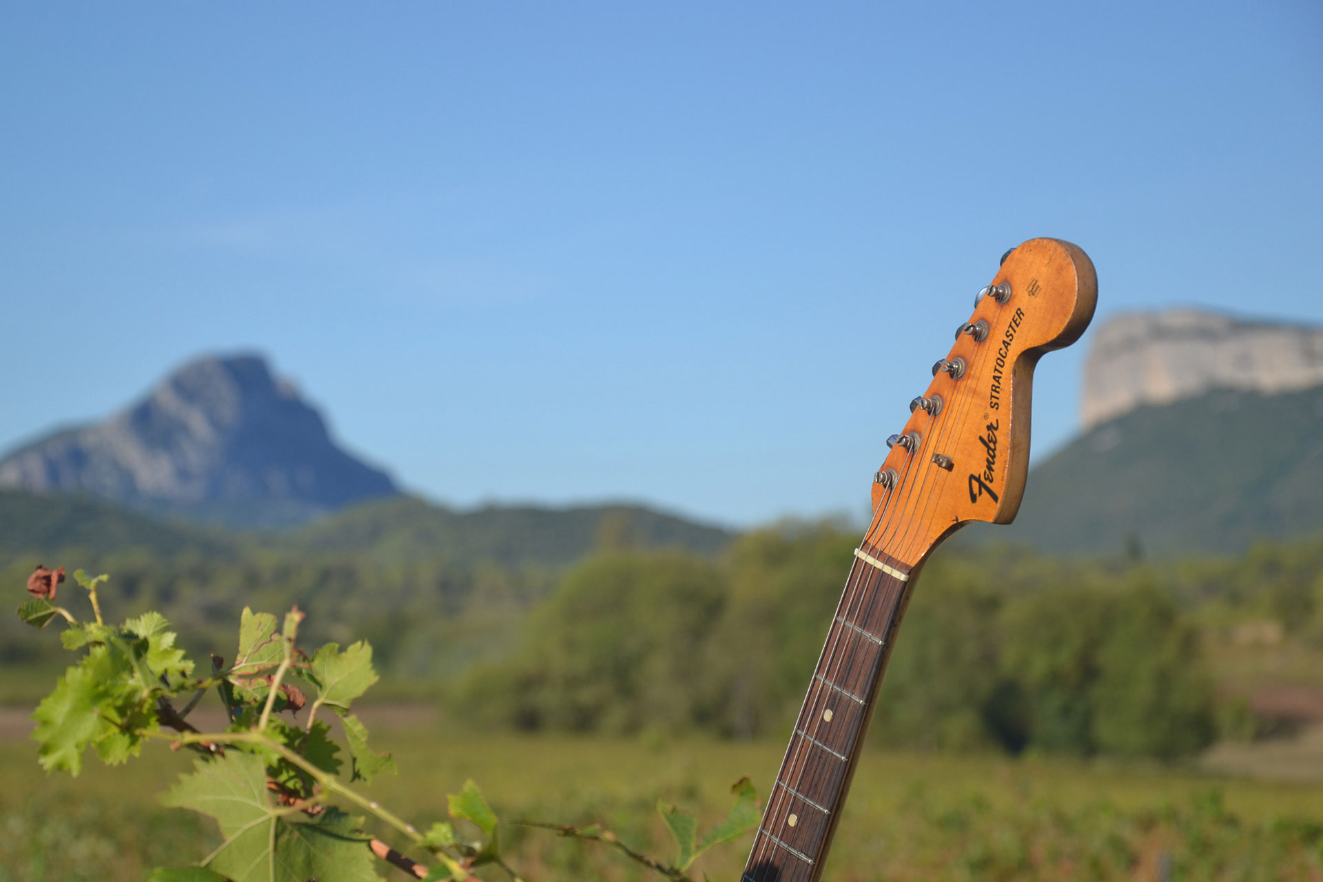 Guitare dans un champ de vignes du Pic Saint Loup pour le festival musique & vins du Festapic